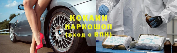 каннабис Новозыбков
