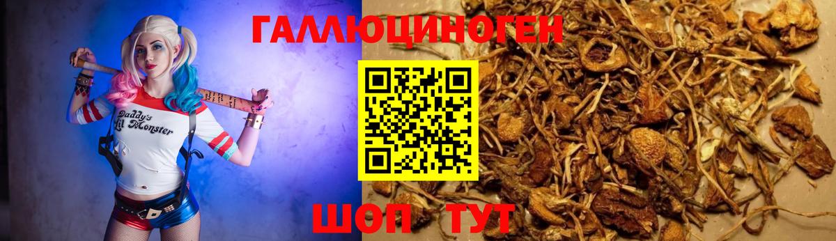Североуральск  Галлюциногенные грибы Psilocybe  Галлюциногенные грибы MAGIC MUSHROOMS  Вход с VPN 